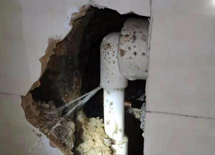 公元水管漏水包賠嗎？選購(gòu)時(shí)別光看牌子！還得看它！